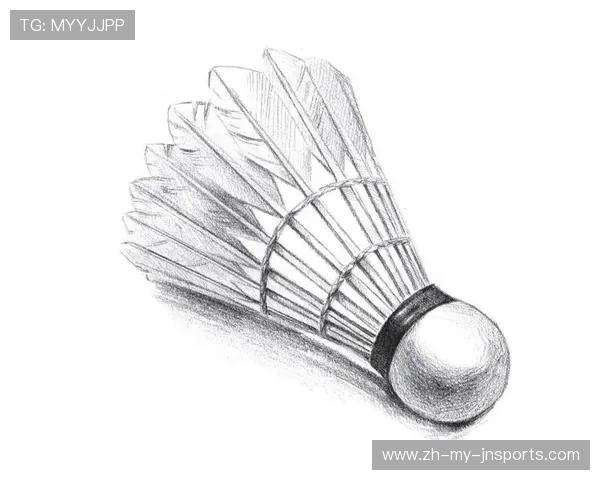 羽毛球教程 下载