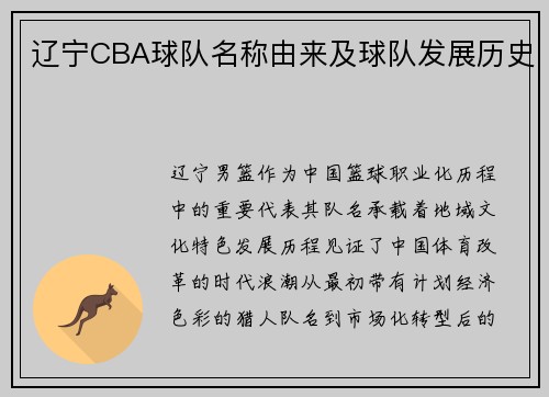 辽宁CBA球队名称由来及球队发展历史